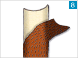 8