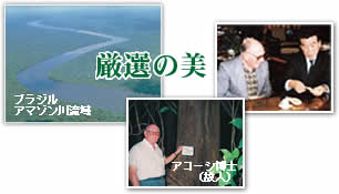 タヒボ、それは大いなる自然の恵み タヒボ、厳選の美