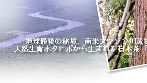 �^�q�{���@TAHEEBO NFD�@�V�R����؃^�q�{���琶�܂ꂽ���ؒ��u�^�q�{�m�e�c�v