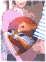 ���|�R���N�g�T�[�r�X