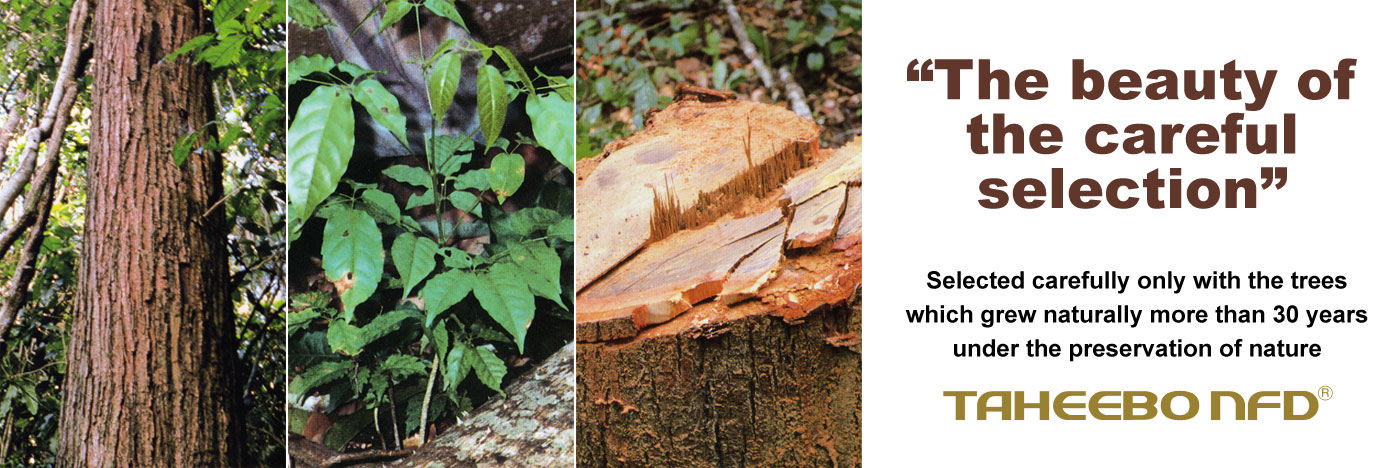 The beauty of the careful selection Selected carefully only with the trees which grew naturally more than 30 years under the preservation of nature