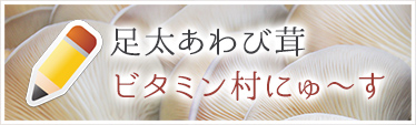 足太あわび茸の栽培日記ブログ