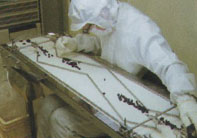 Inspection of TAHEEBO NAFDIN capsules(Japan)
