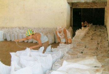 Chips are packed into hemp sacks.And They are transported to a local storage warehouse.