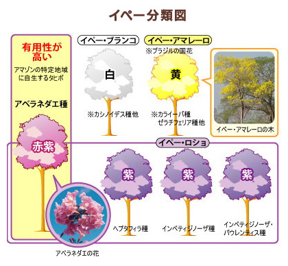 Be careful of similar trees!